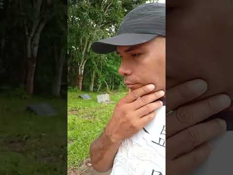 Cachoeira do Piriá nas margens da BR 316 do Pará Maranhão