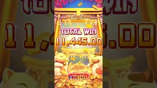 Lucky Neko — Big Wins