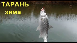 Рыбалка зимой на реке кубань