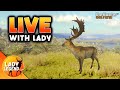 Something GREAT is Coming to Call of the Wild on Tuesday!!  What Will it BE??? - LIVE with Lady!