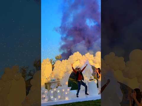 Gender reveal 950€ 