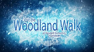 Woodland Walk 2024