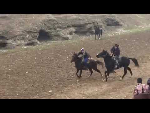 18 -02- 2017 chop-a!!