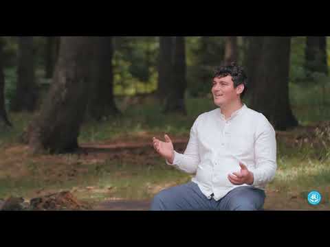 Ca un cerb setos - Robert Bede