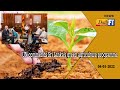 UN Commends Sri Lanka S Green Agriculture Programme