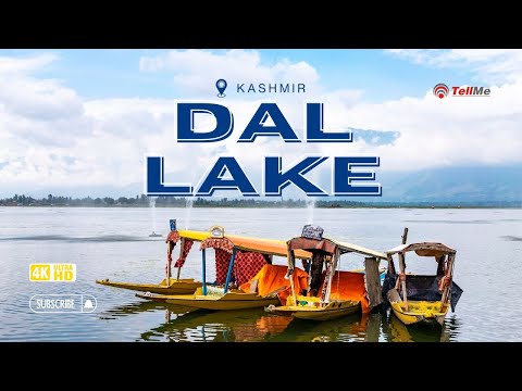 Dal Lake Srinagar: Exploring Winter Beauty in Kashmir | Kashmir Series Ep. 4