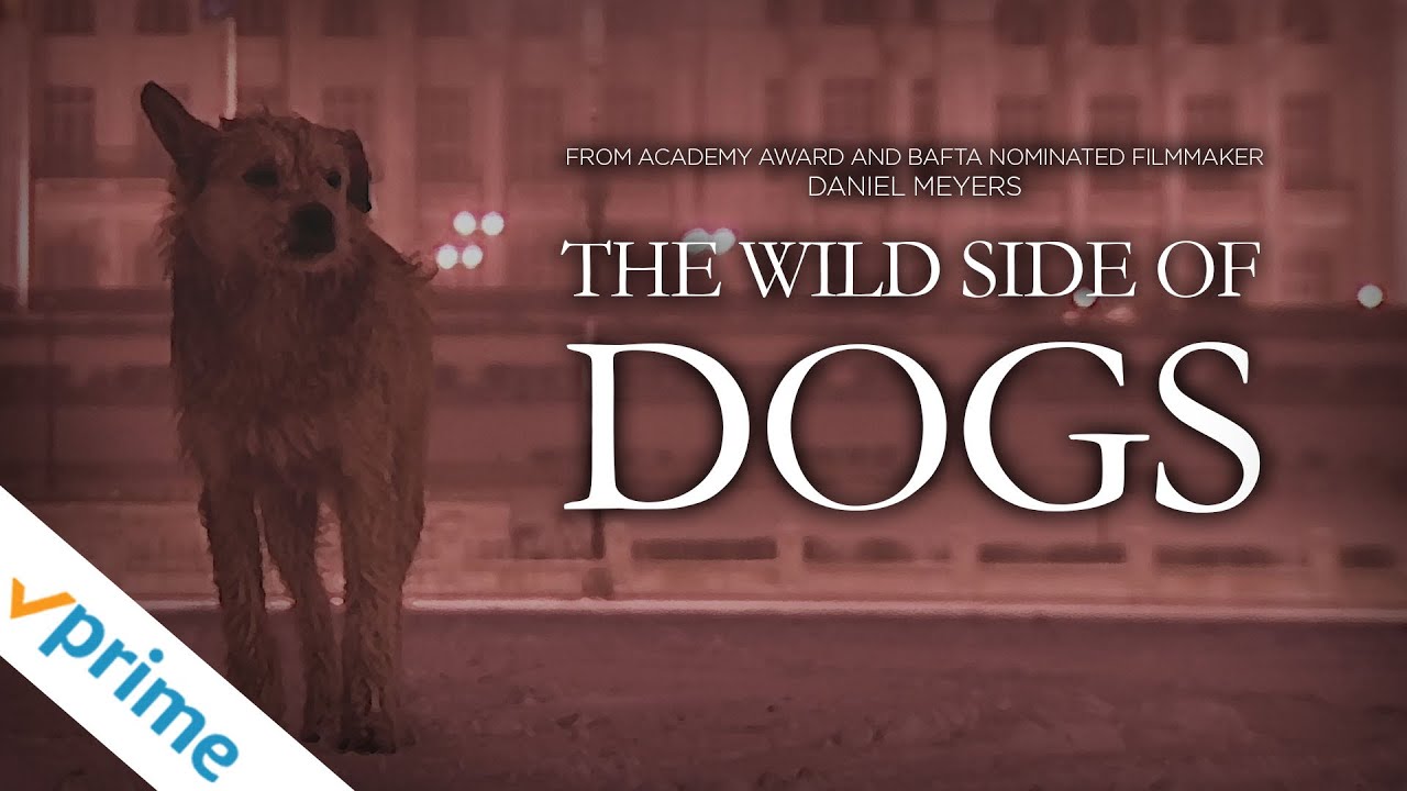 The Wild Side of Dogs — Official Trailer