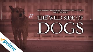 Trailer Thumbnail
