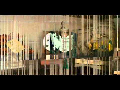 Brince el Farida ( Imperial Baarez x Mai Al Bawady )