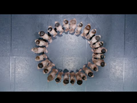 CARMINA BURANA - SNG MARIBOR