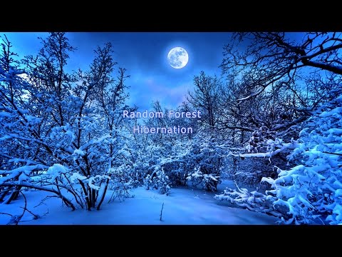 Random Forest ~ Hibernation - Ambient, Drone, Echelon Effect