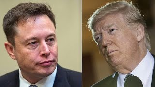 Musk says to reverse Trump's permanent Twitter ban