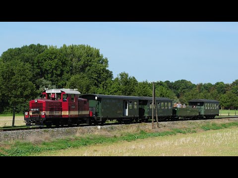 Döllnitzbahn 199.031-6 und 137.515 am 13. 9. 2020