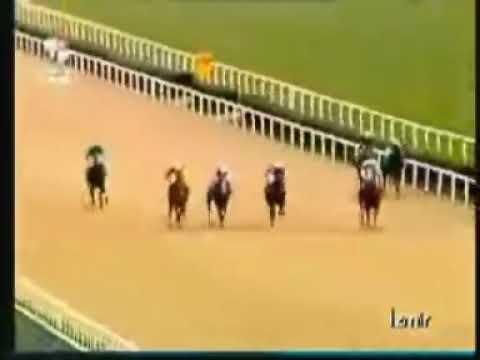 YELPINARI       11/03/2005        İZMİR