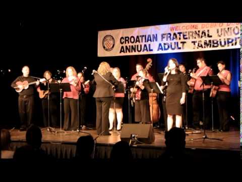 Dalmatinski šajkaš