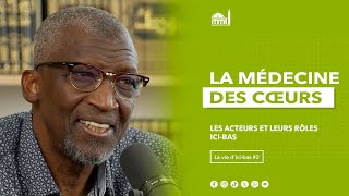 Les acteurs et leurs rôles ici-bas