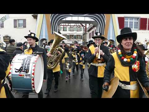 Fasnetsdienstag Umzug 2020 der Narrenzunft Gole Riedlingen 2. Video