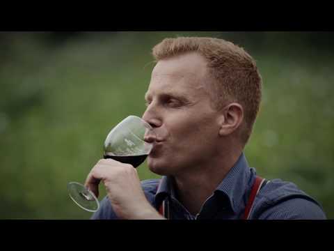 SKUPINA HOZENTREGARJI - JAMICE V LIČKIH, NOVO 2017