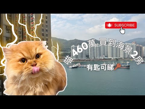 青泰苑 Youtube Video