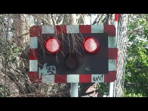 Level Crossing at Sydney Parade - 29000 and 8300 Class Trains