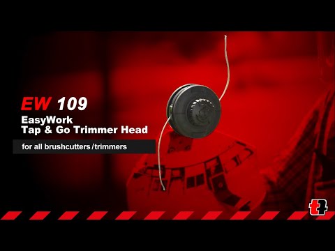 Immagine anteprima per video YouTube