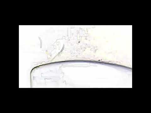 S.K(Sunny king) - roll up another one |RBG LIFE STYLE