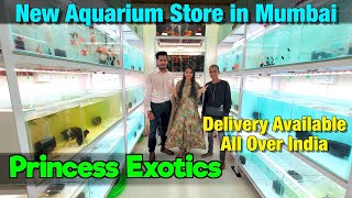New Aquarium Store I Princess Exotics I Delivery Available All Over India