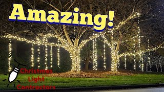 Professional tips- How to hang lights from trees for Weddings and Christmas Lights.