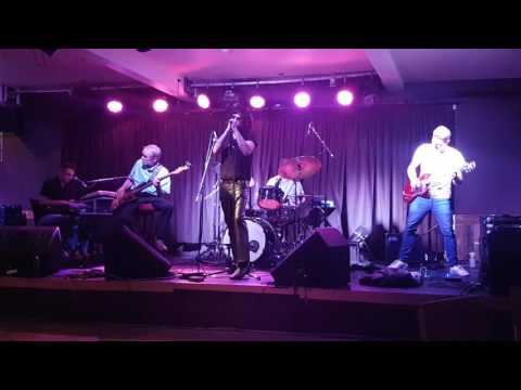 The Manzarek Doors with Bruce Barthol - Riders on the Storm