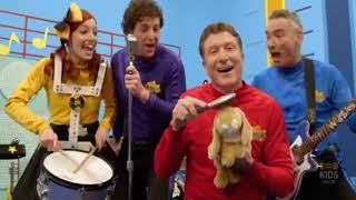 Brush Your Pet's Hair