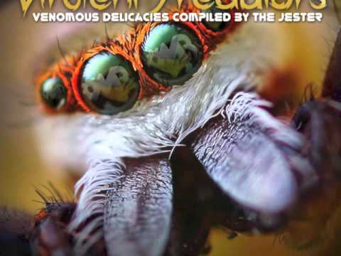 Outer Signal Vs Creative Mind - Beyond The imagination