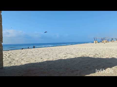beach beauty | جمال الشاطئ
