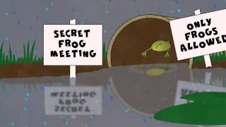 Raining Cats and Dogs - Music With Sarah Gardner