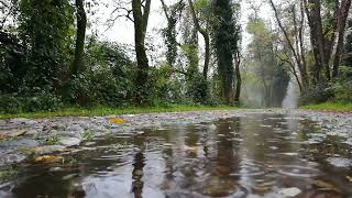 Download lagu Suara Hujan    Rain Drop Sound Effect With No Copyright Footage Videos mp3