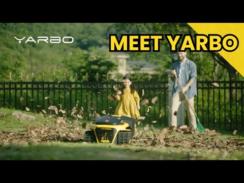 Vidéo YouTube - tr-AW-AvKqQ