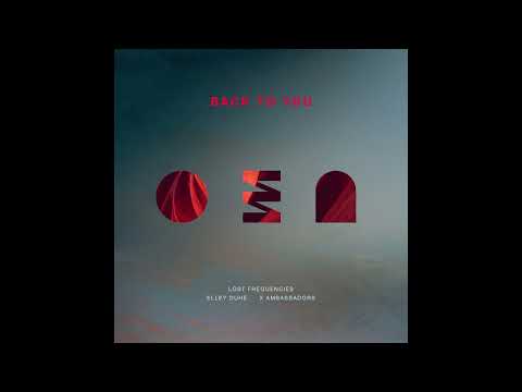 Lost Frequencies, Elley Duhé, X Ambassadors - Back To You (Instrumental)