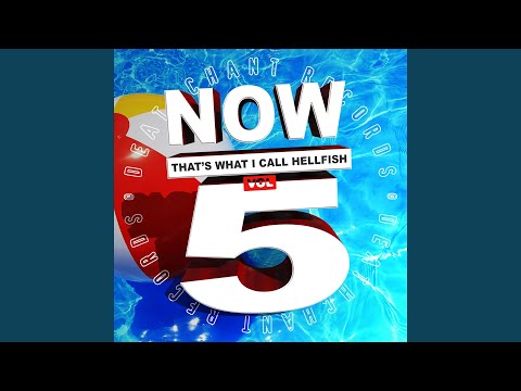 The Steel Fishfinger (Roadhouse Mix)