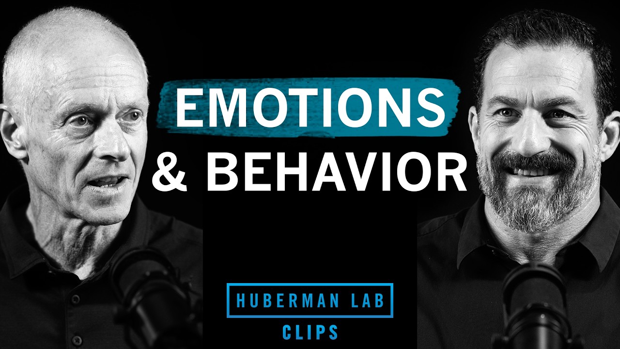 How Emotions Take Over Your Behavior | Dr. Ralph Adolphs & Dr. Andrew Huberman