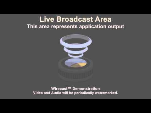 GPC State Championships - Men 60-90kg classes