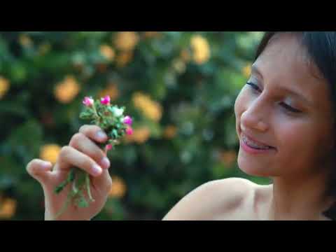 YO SOY EL BENI SEÑORES -IUArtes FT ARTISTAS BENIANOS