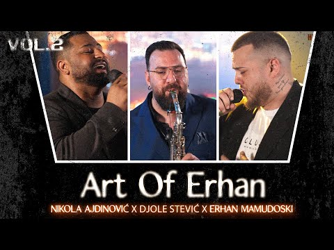 Nikola Ajdinovic i Djole Stevic & Erhan Mamudoski - Trosio me zivot brate (Art of Erhan)