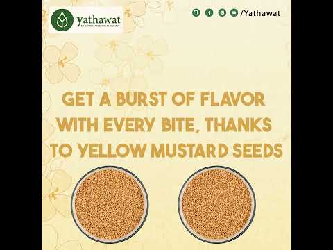 Yathawat Presents Yellow Mustard Seed - Get a Burst of Flavor With Every Bite #yellowmustard