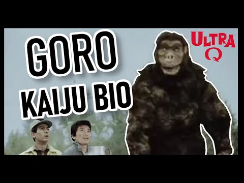 Toho's King Kong Became an Ultraman Kaiju! | Goro Kaiju Bio | Ultra Q Monster Profile