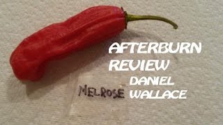 Melrose Pepper (from Daniel Wallace) | Afterburn Pod Review