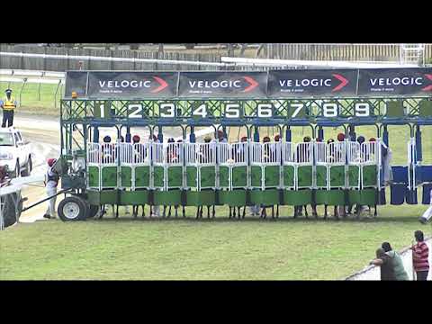 RM26 R5 | Dynamite Jack | J.Allyhosain