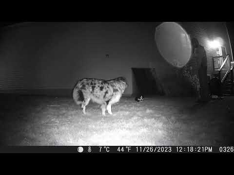 Punvoe LK226/PV226：Photographs and videos captured