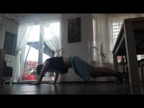 Niedźwiadki Hensfort Przemyśl