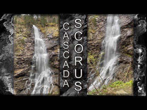 Cascada Scorus - Malaia