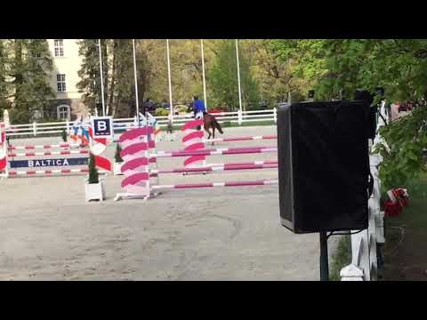 Olivar (Arezzo VDl x Ol Metta) 2019/05/10 ZO Ciekocinko RMK I SPRZEDANY / SOLD