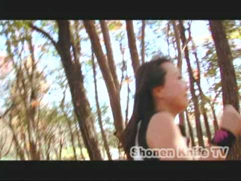 Shonen Knife cover
